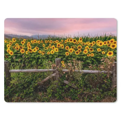 Produktbild von MuchoWow® Mauspad Mousepad Sonnenblume - Blumen - Pflanzen 23x19 cm - Mousepads - Maus Mat - Pad - Mausunterlage - Schreibtischunterlage - Mauspad