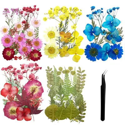 84-teiliges DIY-Trockenblumen-Set mit Pinzette & Schere