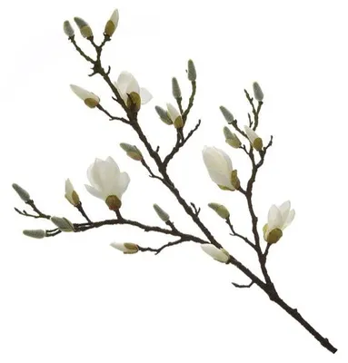 Produktbild von Fink künstlicher Magnolienzweig (101cm)