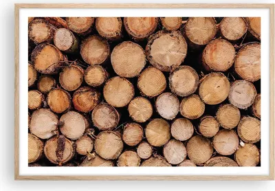 Produktbild von Gerahmtes Poster - Rahmen in heller Eiche - Holz Baumstämme Stämme - 91,5x61 cm - Wand Bild - Wanddeko - Wandbilder - Kunstposter - Wandposter - Bilderrahmen - Bilder - Kunstdruck - P2NAA91x61-4864