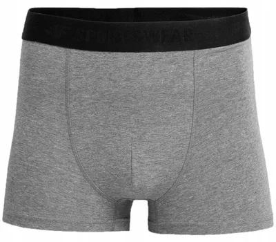 Image de 4F - Boxers pour hommes PP144 (S) (gris/argent)
