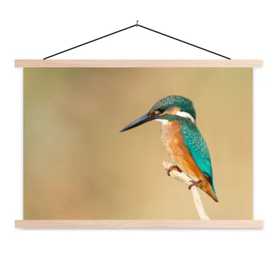 Produktbild von MuchoWow® Textilposter Eisvogel - Tiere - Vogel 120x80 cm mit holzfarbenen Rahmen - Aufhängeset