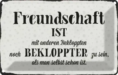Produktbild von vianmo Blechschild 20x30 cm Freundschaft ist mit anderen Familie Freunde