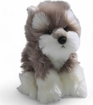 Produktbild von Carl Dick Schnauzer Terrier Welpe ca. 22cm 3136 Kuscheltier, Plüschtier, Stofftier
