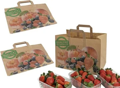 Produktbild von 250x Obsttragetaschen Tragetaschen aus Kraftpapier 90gr. 320+215x240mm