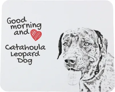 Produktbild von Catahoula Leopard Dog, Catahoula Cur - Mauspad mit Druck, personalisiertes Mauspad mit Hund, einzigartiges Gadget für Büroangestellte von Art-Dog.