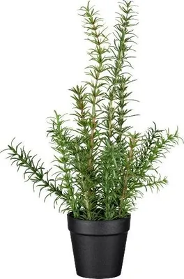 Produktbild von artplants.de Kunst Rosmarin VENTALI im Dekotopf, grün, 40cm - Künstliches Kraut