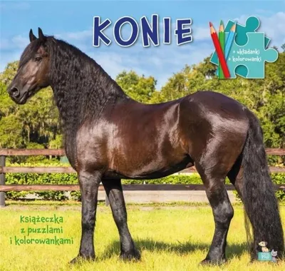 Productafbeelding van Książeczka z puzzlami i kolorowankami Konie - opracowanie zbiorowe
