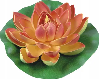 Produktbild von Künstliche Wasserlilie Schwimmende Blumen Seerosen Schaumstoff Groß Orange 19cm
