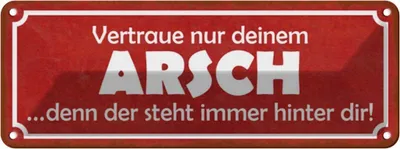 Produktbild von vianmo Blechschild 10x27 cm vertraue nur deinem Arsch denn Dekoration Spruch Zitat