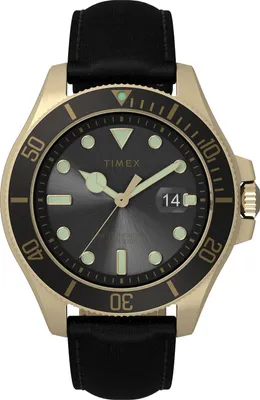 Obrázek produktu pro Pánské hodinky Timex Harborside Coast