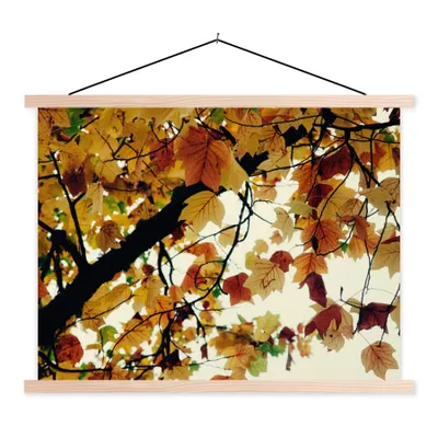Produktbild von MuchoWow® Textilposter Bäume - Herbstblätter - Natur 120x90 cm mit holzfarbenen Rahmen - Magnetisch