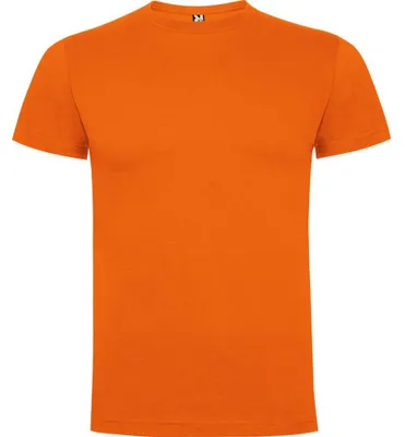 Image de Roly - T-shirt « Dogo » pour enfants LT5236 (104) (orange)