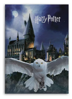 Produktbild von Harry Potter Fleecedecke Schmusedecke Kuscheldecke 100 x 140 cm