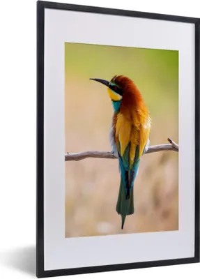 Produktbild von MuchoWow® Gerahmtes Poster Vögel - Bienenfresser - Tiere 40x60 cm - Poster mit Schwarzem Bilderrahmen Wandposter Rahmen Foto Bilder - Poster in Rahmen