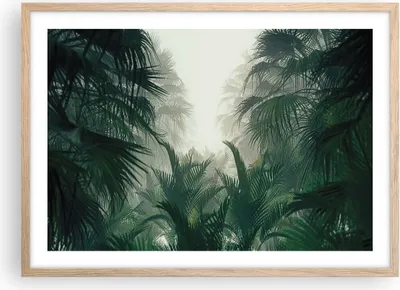 Produktbild von Gerahmtes Poster - Rahmen in heller Eiche - Dschungel Blätter Palmen - 70x50 cm - Wand Bild - Wanddeko - Wandbilder - Kunstposter - Wandposter - Bilderrahmen - Bilder - Kunstdruck - P2NAA70x50-4504