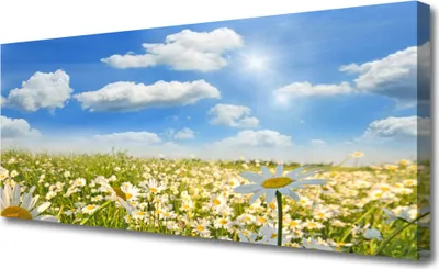 Produktbild von Tulup Leinwand-Bilder 125x50 Wandbild Canvas Kunstdruck Wiese Gänseblümchen Natur