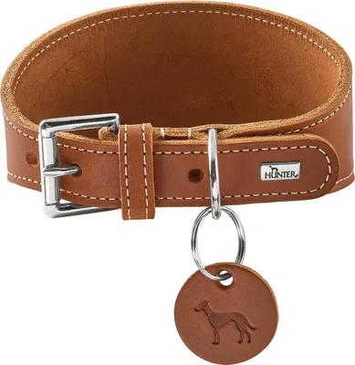 Produktbild von Hunter Windhundhalsband Aalborg Farbe Cognac, Robustes Softleder, ideal für Wind