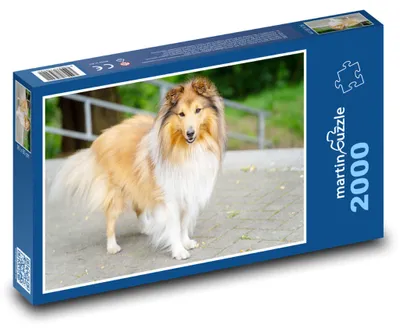 Obrázok produktu pre Puzzle 2000 Sheltie v parku - martinpuzzle