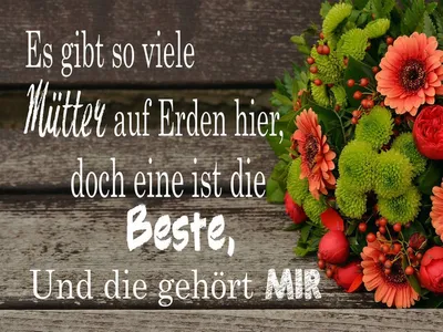 Produktbild von vianmo Holzschild 30x40 cm es gibt viele Mütter doch eine