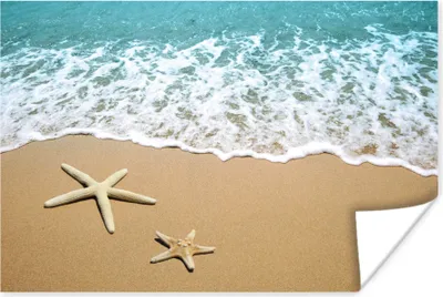 Produktbild von MuchoWow® Poster Seestern - Strand - Meer 60x40 cm - Schlafzimmerdekoration