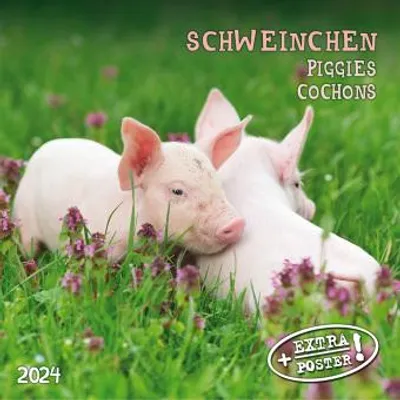 Produktbild von Piggies/Schweinchen 2024