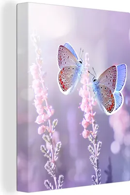 Produktbild von MuchoWow® - Leinwandbilder - Schmetterling - Lavendel - Blumen - Lila, Wandbild, Wanddeko Bilder Wohnzimmer, 30x40 cm