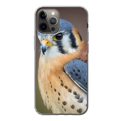 Produktbild von MuchoWow® Handyhülle Schutzhülle Hülle für iPhone 12 Pro Vogel - Makro - Blau Silikon Softcase Handy Hülle - Abdeckung
