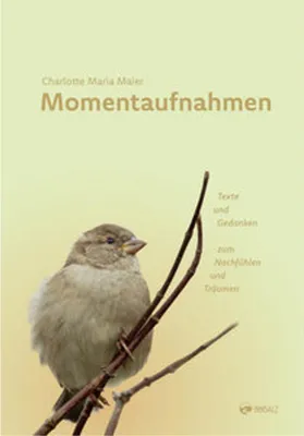 Produktbild von Momentaufnahmen