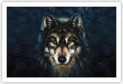 Produktbild von Poster - Poster ohne Rahmen - Wolf Dunkel Grafik - 91,5x61 cm - Wand Bild - Wanddeko - Wandbilder - Kunstposter - Wandposter - Bilder - Kunstdruck - Wanddekoration - Wandbild - P2XAA91x61-4845