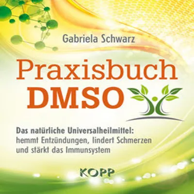 Book cover with abstract background elements and text.