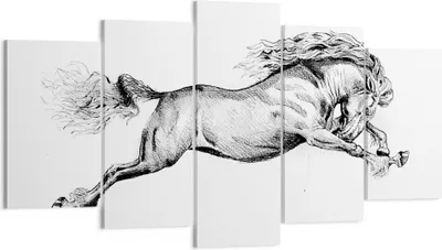 Produktbild von Bild auf Leinwand - Leinwandbild - 5 Teile - Pferd Zeichnung Bleistift - 160x85cm - Wand Bild - Wanddeko - Wandbilder - Leinwanddruck - Bilder - Wanddekoration - Leinwand bilder - EA160x85-4906