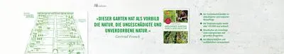 Image de Gesunder Garten durch Mischkultur