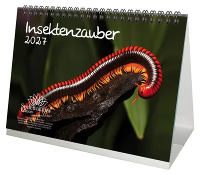 Produktbild von Insektenzauber DIN A5 Tischkalender für 2027 - Seelenzauber
