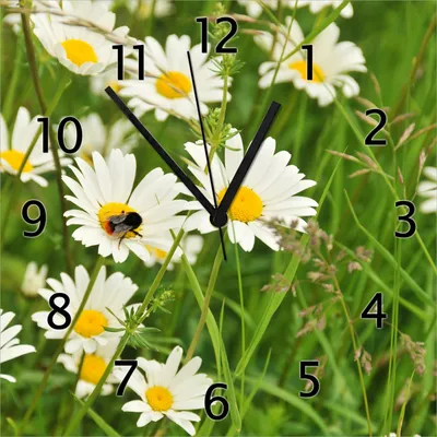 Produktbild von Wallario Design Wanduhr Margeritenwiese aus Echtglas, Größe 30 x 30 cm