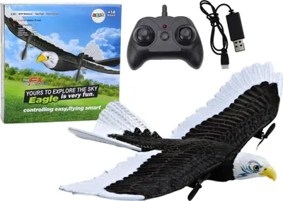 Image de Eagle R/C 2.4G