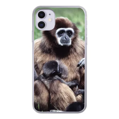Produktbild von MuchoWow® Handyhülle Schutzhülle Hülle für iPhone 11 Affe - Pflanzen - Jung Silikon Softcase Handy Hülle - Handytasche