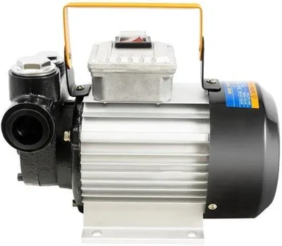 Immagine prodotto di Pompa per olio da serbatoio, autoadescante - 230 V - 550 W - Capacità: 60 litri/minuto - Con pistola automatica
