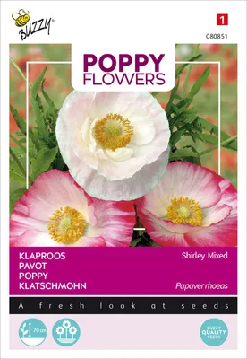 Produktbild von Klatschmohn Shirley Einfache Mischung | Mohnsamen von Buzzy Seeds