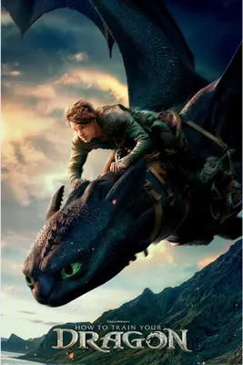 Productafbeelding van Dragon - Hoe train je een draak - 61x91,5 cm - Poster