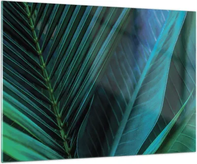 Produktbild von Bilder auf glas - Einteilig - Blatt Tropen Grün - 100x70cm - Glasbilder - Wandbilder - Bilder - zum Aufhängen bereit - Wanddekoration aus Glas - Glas Bilder - Wandbild auf Glas - GAA100x70-5071