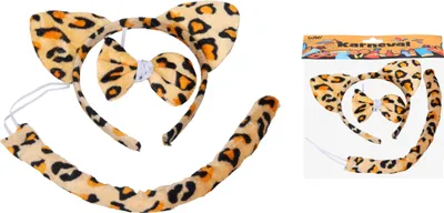 Produktbild von Karneval-Set – Tiger