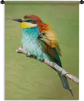 Produktbild von MuchoWow® Wandteppich Wandbehang Vogel - Tiere - Bienenfresser 90x120 cm Tapisserie Dekoration Wandtuch - Wanddeko
