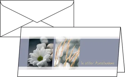 Produktbild von Trauer-Karten Anteilnahme DINlang 220g/qm VE=20x10 Karten (inkl. Umschläge)