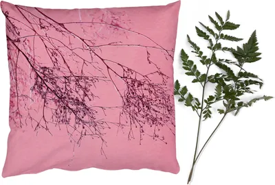 Produktbild von MuchoWow® Zierkissen Sofakissen Wohnzimmer Dekokissen 45x45 cm Blumen - Zweige - Sommer - Schlafpolster - Polster für das Sofa