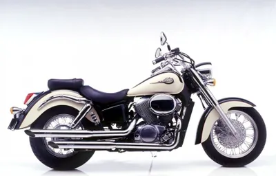 Obrázek produktu pro Výfukový systém LeoVince – kompletní sada SILVERTAIL K02 s homologací, chrom & DB-Killer pro Honda VT 750 C2 ACE Shadow, rok výroby 1997–2002