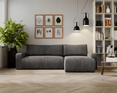 A modern living room with a gray sectional sofa, bookshelf, and plant.