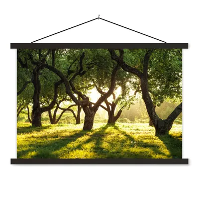 Produktbild von MuchoWow® Textilposter Bäume - Natur - Sonne 60x40 cm mit schwarzem Rahmen - Hölzernes