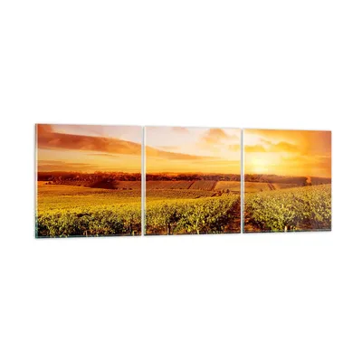 Produktbild von Bilder auf glas - Weinberg Aussicht Landschaft - 150x50cm - Glasbilder - Wandbilder - Kunstdruck - zum Aufhängen bereit - Wanddekoration aus Glas - Glas Bilder - Wandbild auf Glas - GCA150x50-0170