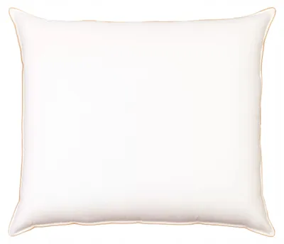 Produktbild von PaemiHome Daunenkissen Gänsefeder Premium 70x80 cm